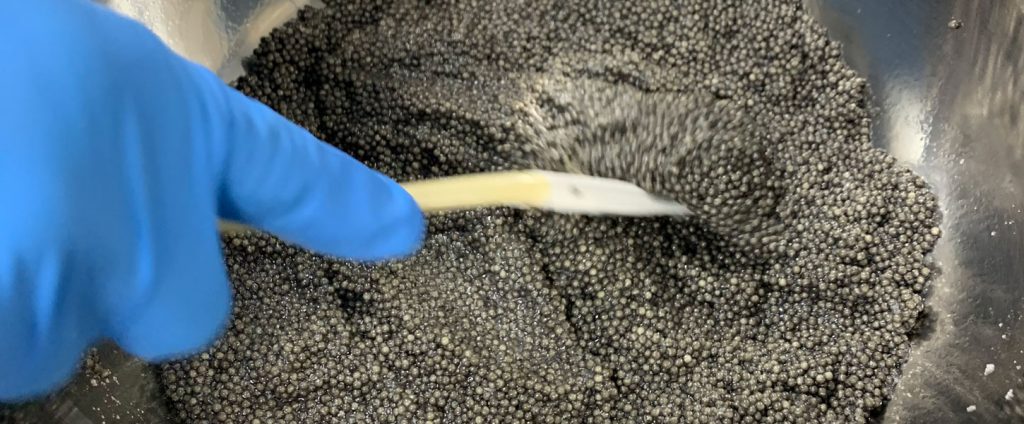 shinya-caviar